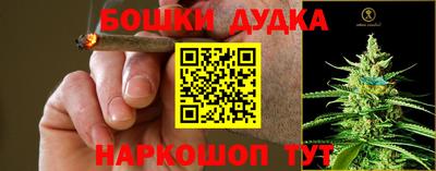 метадон Новодвинск