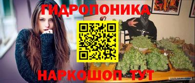 метадон Новодвинск