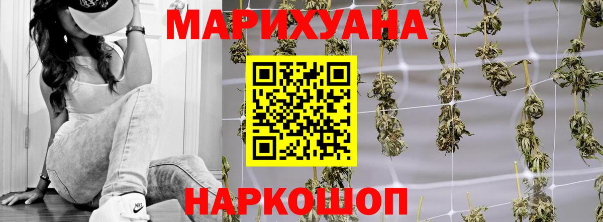 Каннабис конопля  Марихуана индика  Марихуана план  Бошки Шишки конопля  Вход с VPN  Соликамск 